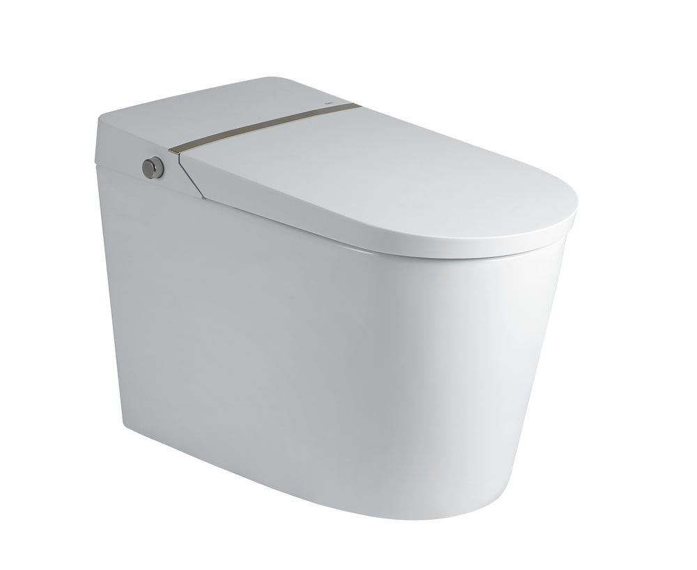 A Series Bidet Toilets