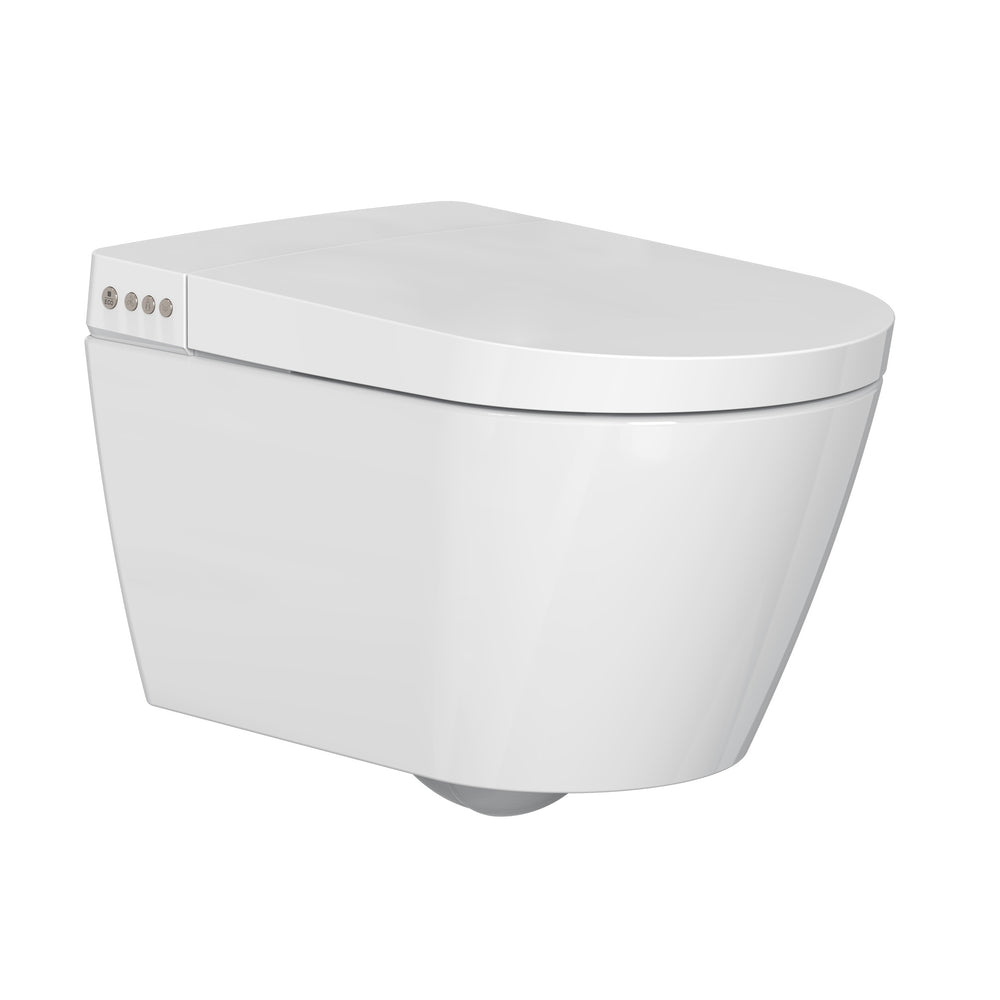 V Series Bidet Toilets