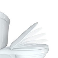Load image into Gallery viewer, R&amp;T B1094 Elongated Toilet Seat Slow Close
