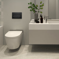 Load image into Gallery viewer, R&amp;T G3004117 Black Actuator Plate
