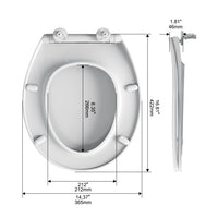 Load image into Gallery viewer, R&amp;T B1132 Round Toilet Seat with Night Light

