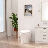 Load image into Gallery viewer, R&amp;T W5100S Tankless Auto Flush Toilet Battery-Operated 1.28-GPF
